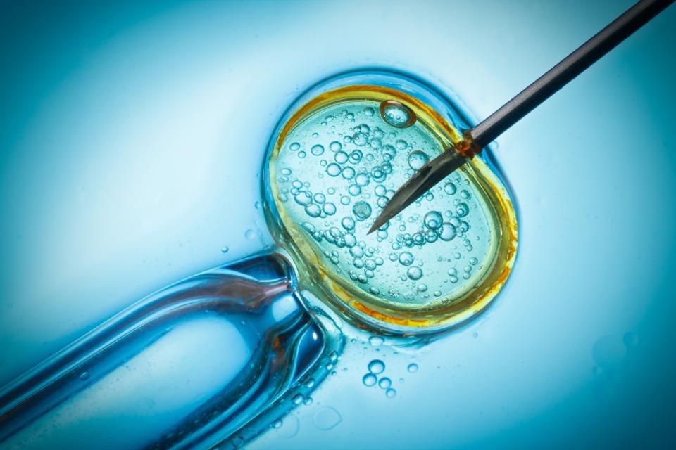 老公经常喝酒意外怀孕 老公经常喝酒意外怀孕生出来的宝宝健康吗